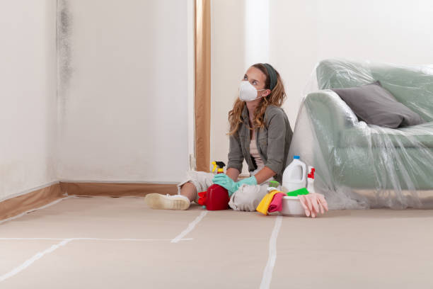 Reliable Mold Remediation contractor in Elmhurst, IL by 24 Hour Mold Removal